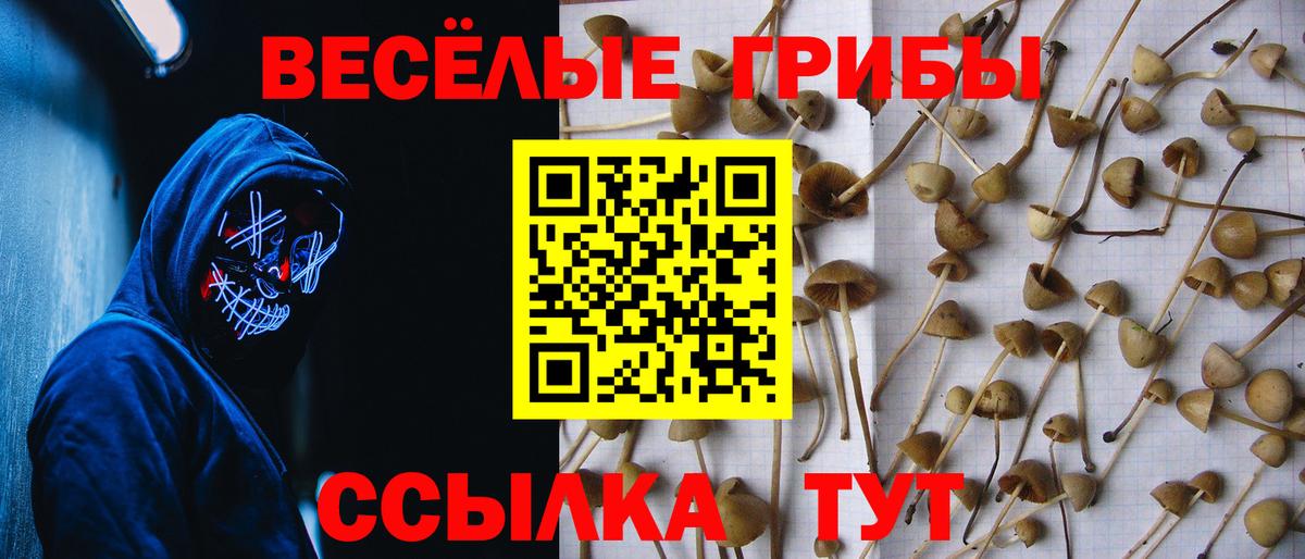 Истра  Галлюциногенные грибы мицелий  Вход с VPN 